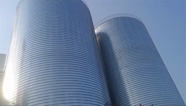 三都镇2座混凝土高架卷板仓